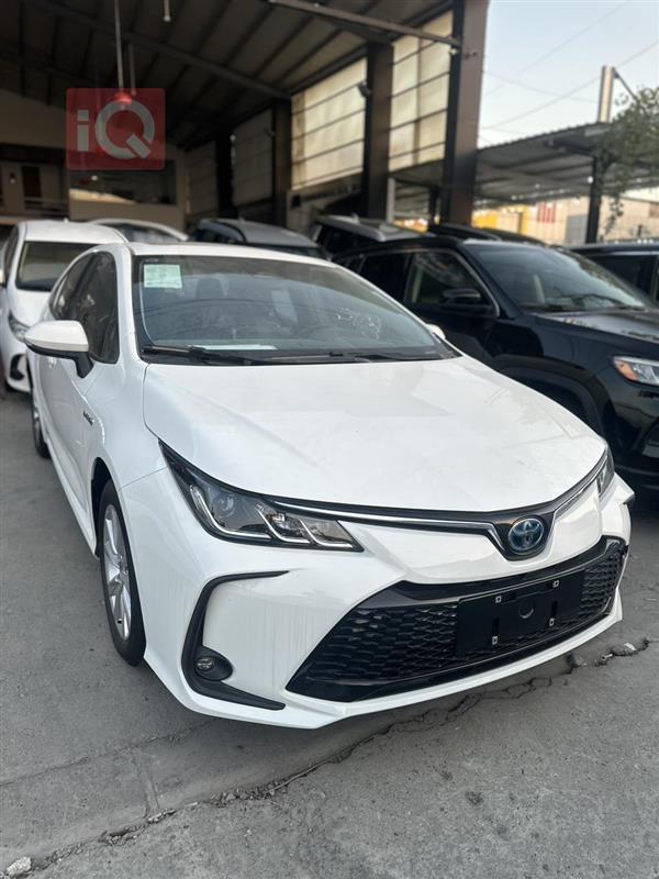 Toyota for sale in Iraq